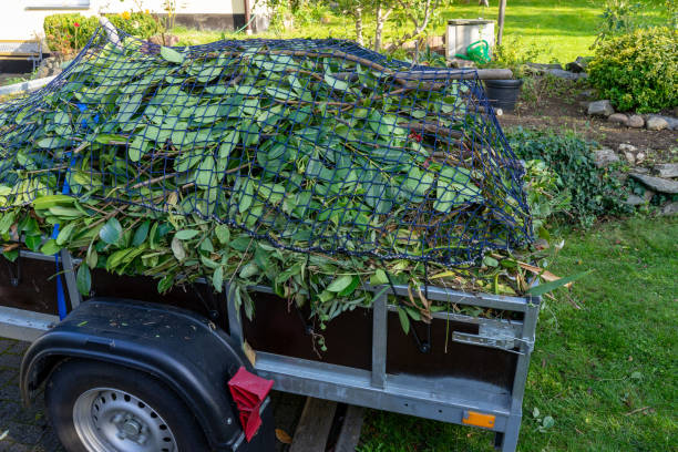 Best Recycling Services for Junk  in Hargill, TX